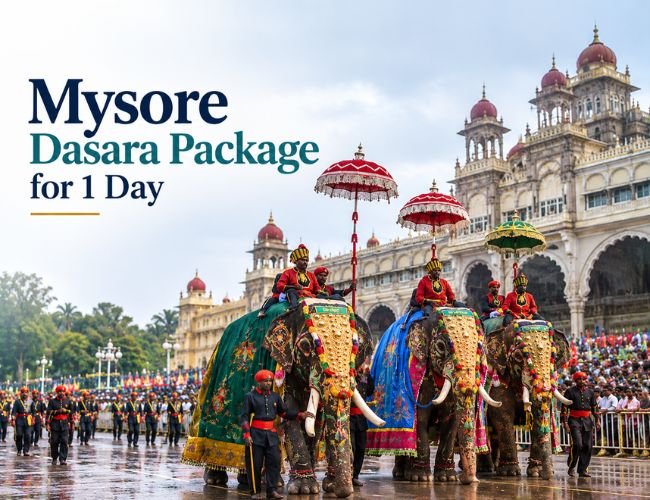 Mysore Dasara Package for 1 Day