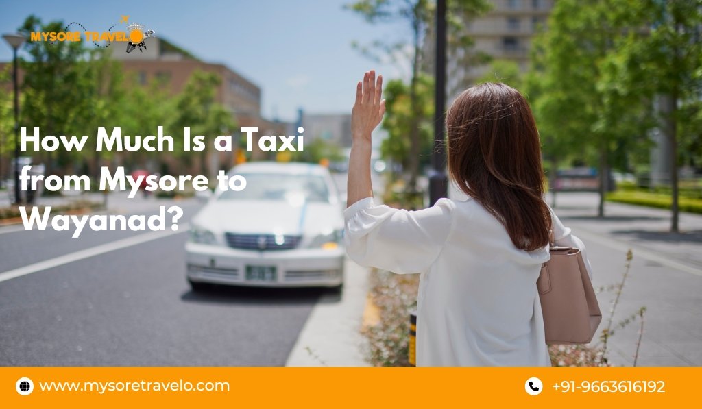 Taxi from Mysore to Wayanad